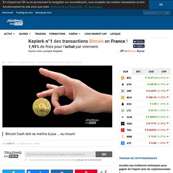 Bitcoin Cash doit se mettre à jour ... ou mourir - Journal du Coin