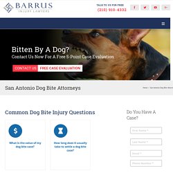 Dog bite Attorney San Antonio