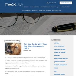 Can You Go to Jail If Your Dog Bites Someone in Ohio? - Tyack Law Firm