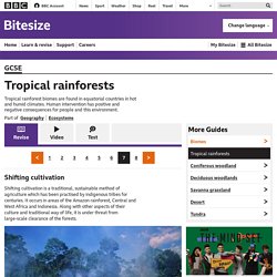 Bitesize - GCSE Geography - Tropical rainforests - Revision 7