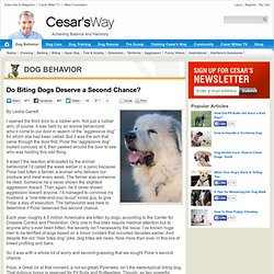 - Do Biting Dogs Deserve a Second Chance?