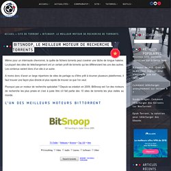 BitSnoop, le meilleur moteur de recherche de torrents