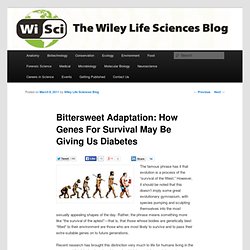 Bittersweet Adaptation: How Genes For Survival May Be Giving Us Diabetes « WiSci