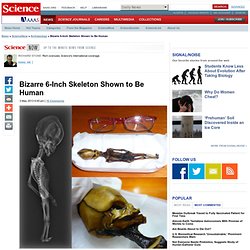 Bizarre 6-Inch Skeleton Shown to Be Human