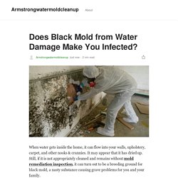 Does Black Mold from Water Damage Make You Infected?