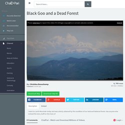 Black Goo and a Dead Forest - ChalPari.com