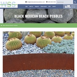 Black Mexican Beach Pebbles, Black Mexican Pebble Rock CA