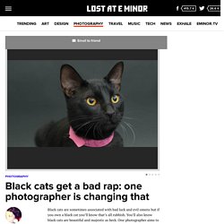 Black cats get a bad rap: one photographer is changing that