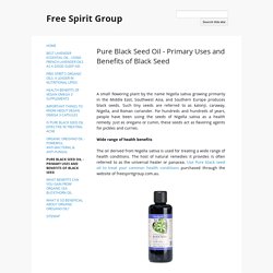 Pure Black Seed Oil - Primary Benefits of Black Seed Oil