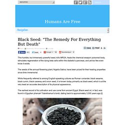 Black Seed: "The Remedy For Everything But Death"