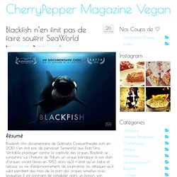 Blackfish n'en finit pas de faire souffrir SeaWorld CherryPepper Magazine Vegan
