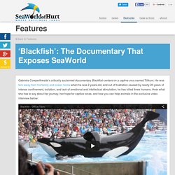 'Blackfish': The Documentary That Exposes SeaWorld