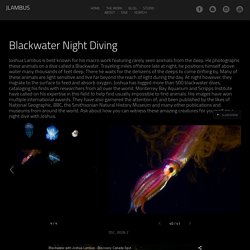Blackwater - JLambus
