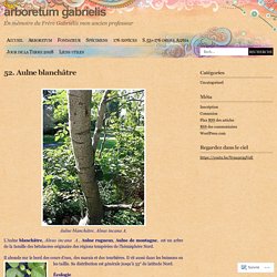 arboretum gabrielis