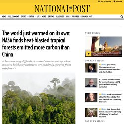 The world just warmed on its own: NASA finds heat-blasted tropical forests emitted more carbon than China