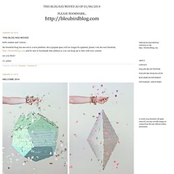 BLEUBIRD BLOG