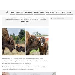 Shy, blind bison never had a friend on the farm — until he meet Oliver