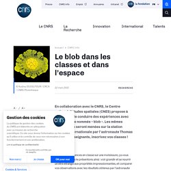 Le blob dans les classes et dans l’espace