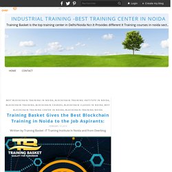Training Basket Gives the Best Blockchain Training in Noida to the Job Aspirants: - Industrial Training -Best Training Center In Noida