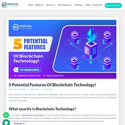 5 Potential Features Of Blockchain Technology - Webcom Systems