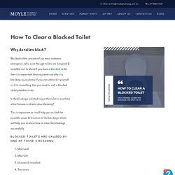 Blocked Toilet Plumber Advice — Moyle Plumbing & Gasfitting