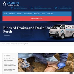 Blocked drains, Drain Unblocking I Zambezi Plumbing