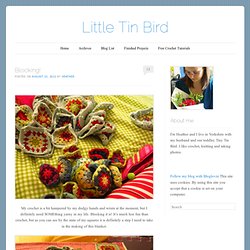 Little Tin Bird