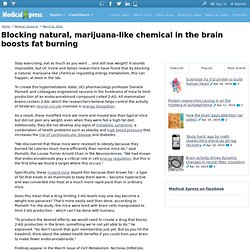 Blocking natural, marijuana-like chemical in the brain boosts fat burning
