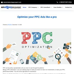 Blog - Adwords PPC expert