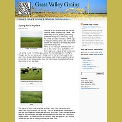 Blog « Grass Valley Grains