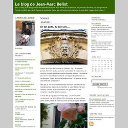 Le blog de Jean-Marc Bellot: Science
