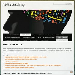 Blog » Music & the brain