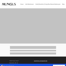 Blog Post - mungus-mushrooms