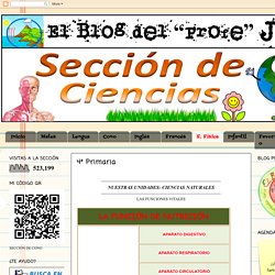 El Blog del "Profe" Juan (Ciencias): 4º Primaria