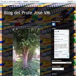 Blog del Profe José VM: Las plantas
