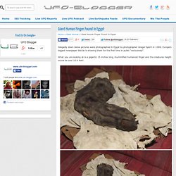 Giant Human Finger Found In Egypt