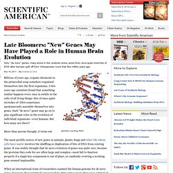 Late Bloomers: "New" Genes May Have Played a Role in Human Brain Evolution