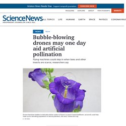 Bubble-blowing drones may one day aid artificial pollination