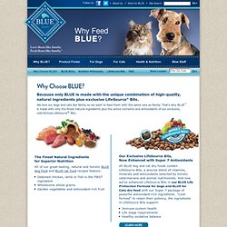 The Blue Buffalo Company - Why Choose BLUE Dog Food and Cat Food?