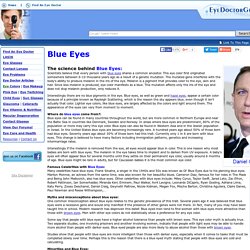 Blue Eyes - A Complete Eye Color Guide
