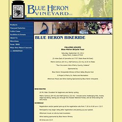 Blue Heron Vineyard