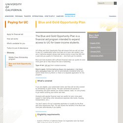 Blue + Gold Opportunity Plan