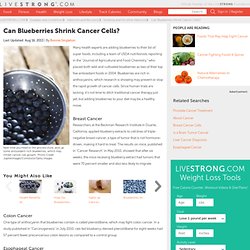 Can Blueberries Shrink Cancer Cells?