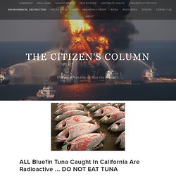ALL Bluefin Tuna Caught In California Are Radioactive ... DO NOT EAT TUNA — THE CITIZEN'S COLUMN