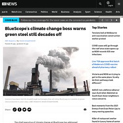 BlueScope's climate change boss warns green steel still decades off