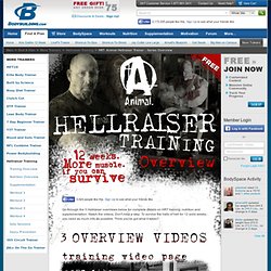 HRT: Animal Hellraiser Trainer - Series Overview - Bodybuilding.com