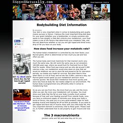 Bodybuilding diet (nutrition) - Increase metabolism, gain muscle, lose fat!