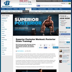Superior Posterior Workout: Posterior Chain Training!