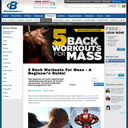 5 Back Workouts For Mass - A Beginner's Guide!