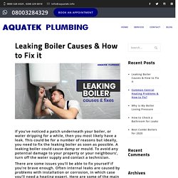 Leaking Boiler Causes & How to Fix it